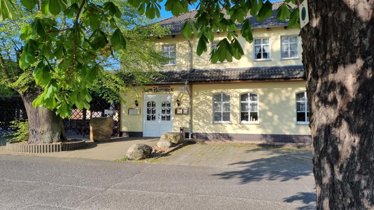 Wirtshaus & Pension "Zum Hammer" Neustadt  Dış mekan fotoğraf